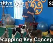 Ron Watson &amp; the PVybe Pack recap the training concepts from weeks 1-3: Attention, Targeting &amp; Threshold. nnSurf by Segment:n1:16 Target to Stand with Lootn1:59 Targeting for Disc Dog Set Up Movesn3:05 Show Intron7:26 Attention while Standing n9:49 Capturing the Foot Targetn11:27 FitPaws - Growing Up with Lois Lanen12:25 Warm Up &amp; Mo Moves with the Biscuitn13:59 Generalizing the Thresholdn16:36 Q&amp;A - Why Targeting?n18:09 Shaping Foot Target Durationn20:49 Multiple Dogs... Multipl