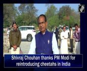 Madhya Pradesh Chief Minister Shivraj Singh Chouhan on February 18 thanked Prime Minister Narendra Modi for reintroducing cheetahs again in India.Speaking to media persons, Shivraj Singh Chouhan said, “There will be an increase in clans of Cheetah. I thank Prime Minister Narendra Modi and his vision of reintroducing cheetahs in Kuno National Park. Today 12 cheetahs will come and the number of cheetahs will increase to 20.”The 12 cheetahs, including seven males and five females, are set to arrive in India in Kuno National Park.The Indian Air Force&#39;s C-17 Globemaster Cargo plane is bringing the 12 cheetahs from South Africa. The Cheetahs will be translocated to Kuno National Park in Madhya Pradesh.&#60;br/&#62;