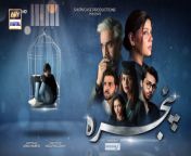 TO WATCH ALL EPISODES CLICK HERE&#60;br/&#62;https://dailymotion.com/playlist/x7lugr&#60;br/&#62;http://www.dailymotion.com/doody4100/playlists&#60;br/&#62;Writer: Asma Nabeel&#124; Director: Najaf Bilgrami&#60;br/&#62;Cast:Hadiqa Kiani,Omair Rana,Sunita Marshall,Aashir Wajahat,Aina Asif,Ahmed Usman,Zuhab Khan ,Emaan khan.&#60;br/&#62;Pinjra is an exceptional drama with a story that discusses the idea of sibling rivalry and mistrust between the parents and their children.&#60;br/&#62;It’s important to communicate with your child…&#60;br/&#62;To talk to your child…&#60;br/&#62;And to understand your child…Writer: Asma Nabeel&#124; Director: Najaf Bilgrami&#60;br/&#62;Cast:Hadiqa Kiani,Omair Rana,Sunita Marshall,Aashir Wajahat,Aina Asif,Ahmed Usman,Zuhab Khan ,Emaan khan.&#60;br/&#62;Pinjra is an exceptional drama with a story that discusses the idea of sibling rivalry and mistrust between the parents and their children.&#60;br/&#62;It’s important to communicate with your child…&#60;br/&#62;To talk to your child…&#60;br/&#62;And to understand your child…